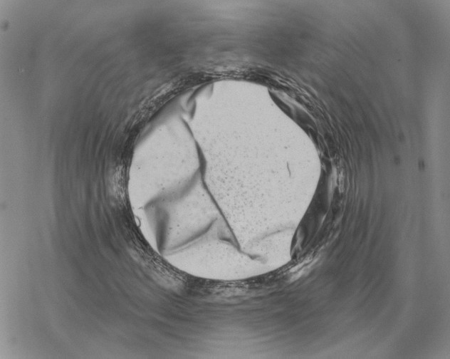 X0000077311156200611171710