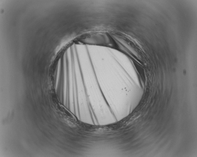 X0000077311160200611171710