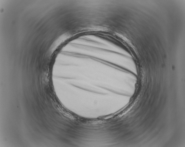 X0000077311163200611171710