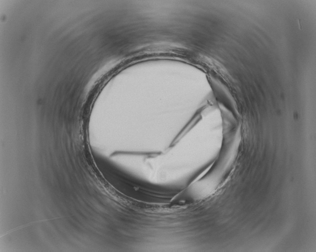 X0000077311164200611171710