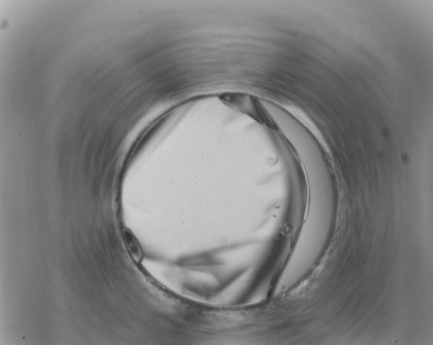 X0000077311197200611171709