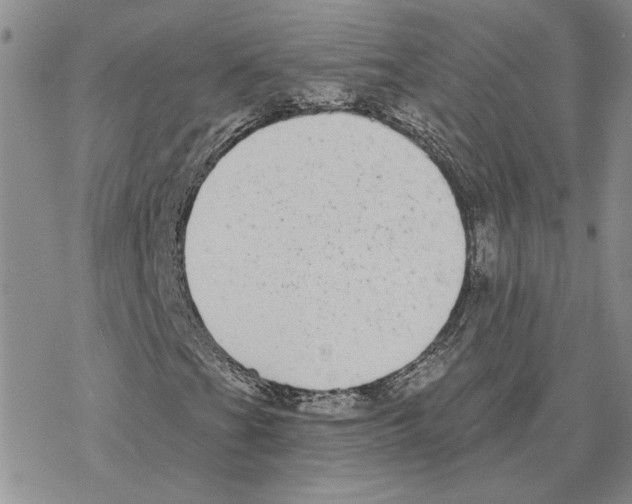 X0000077311201200611171709
