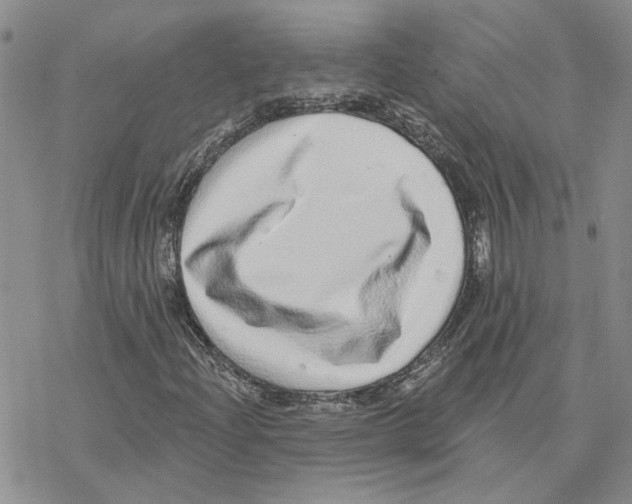 X0000077311204200611171709