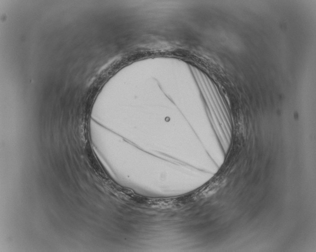 X0000077311205200611171709