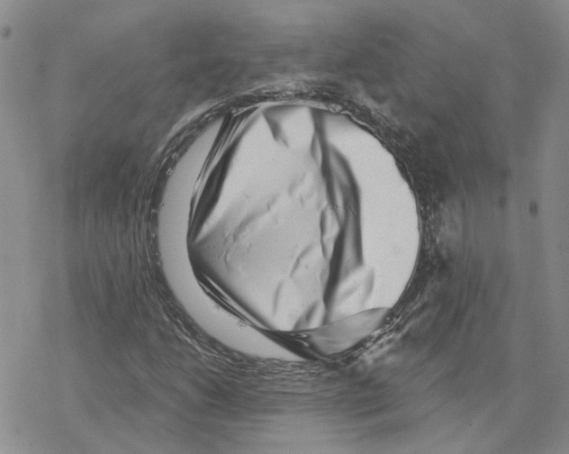 X0000077311206200611171709