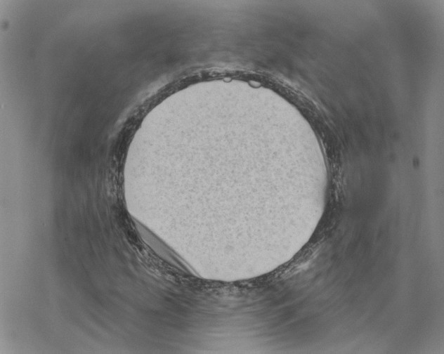 X0000077311207200611171709