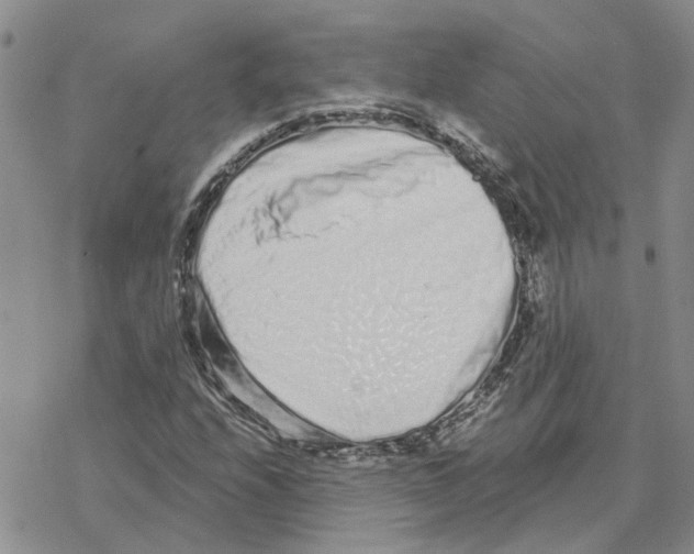 X0000077311208200611171709