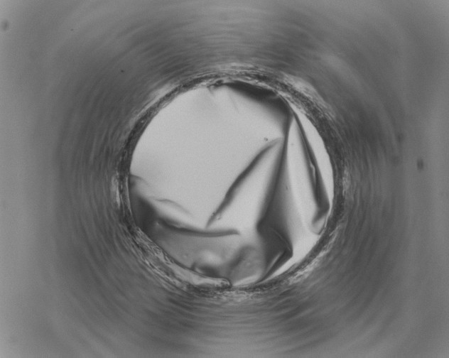 X0000077311209200611171709