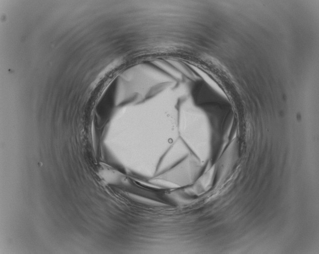 X0000077311210200611171709