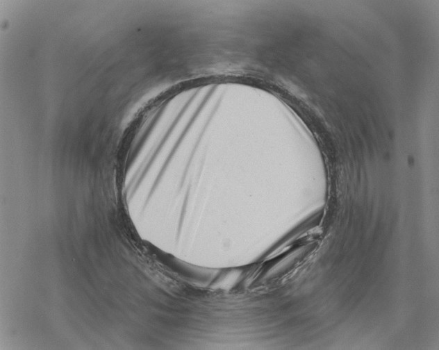 X0000077311214200611171709