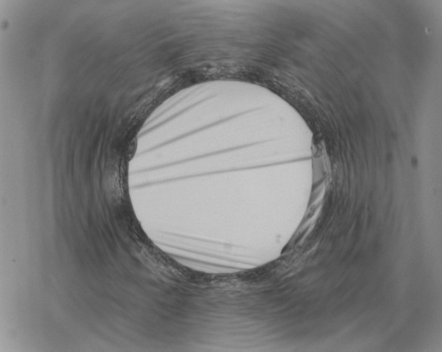 X0000077311250200611171708