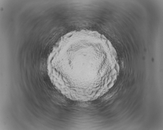 X0000077311251200611171708