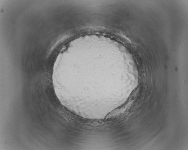 X0000077311255200611171708