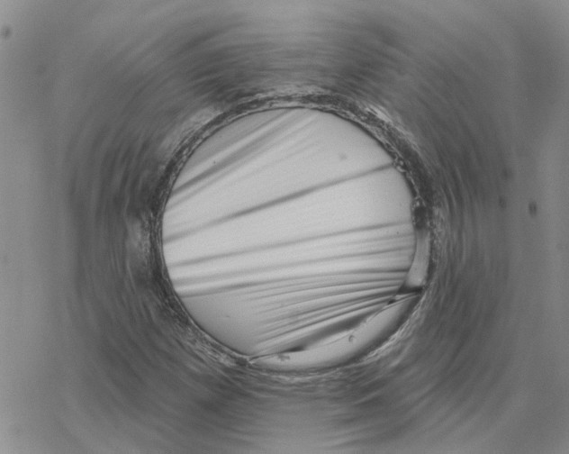 X0000077311257200611171708