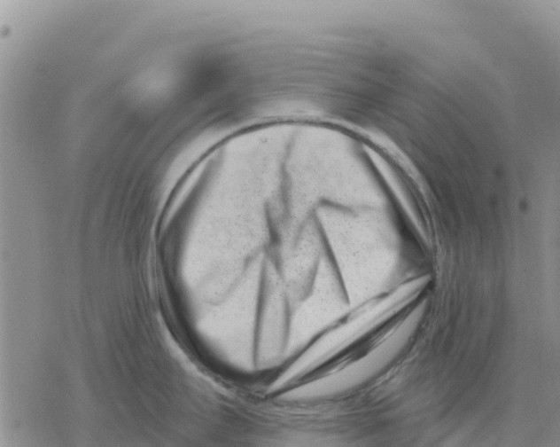 X0000077311295200611171708