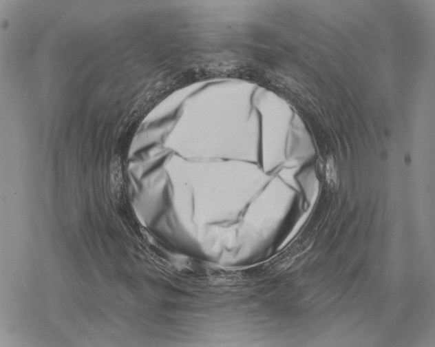 X0000077311299200611171707