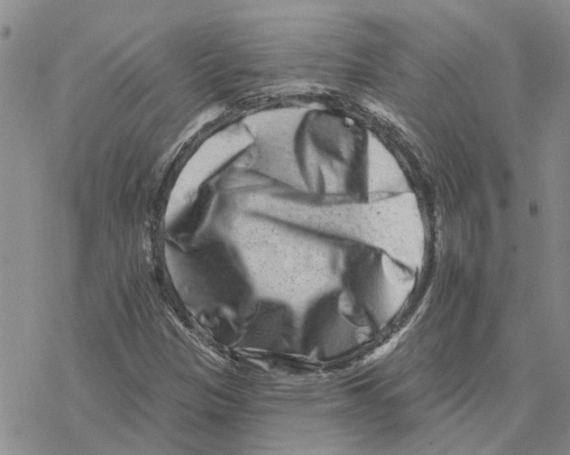 X0000077311305200611171707