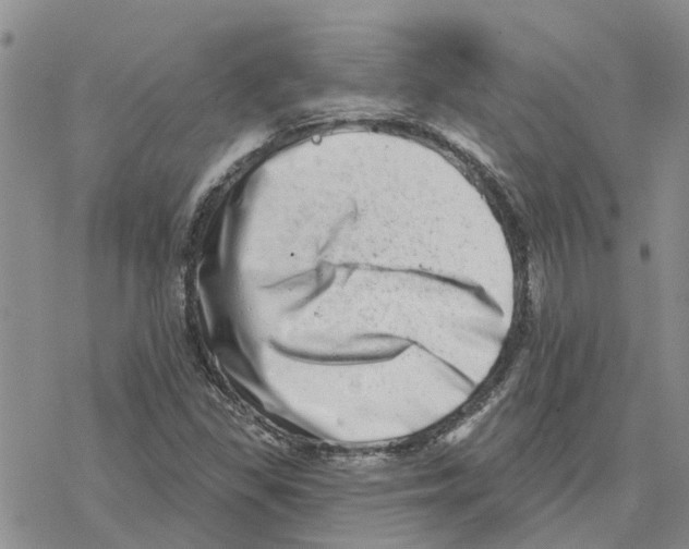 X0000077311309200611171707