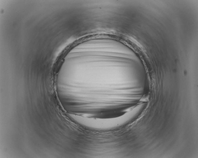 X0000077311310200611171707