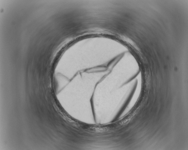 X0000077311318200611171707