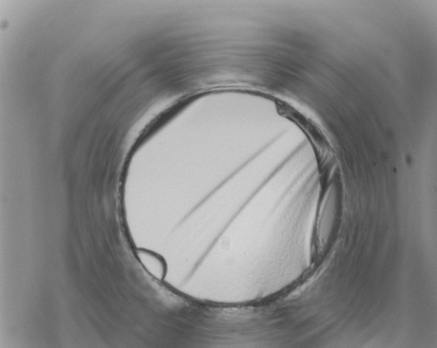X0000077311333200611171708