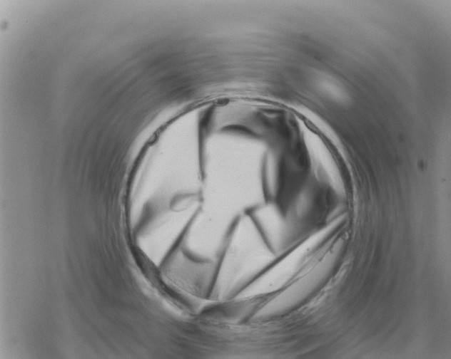 X0000077311341200611171708