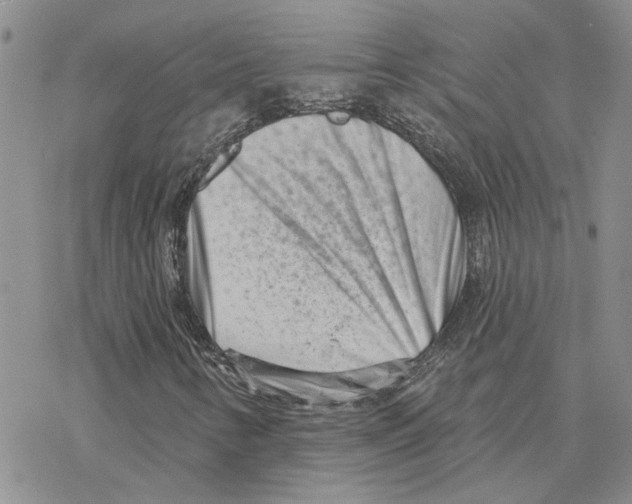 X0000077311346200611171707
