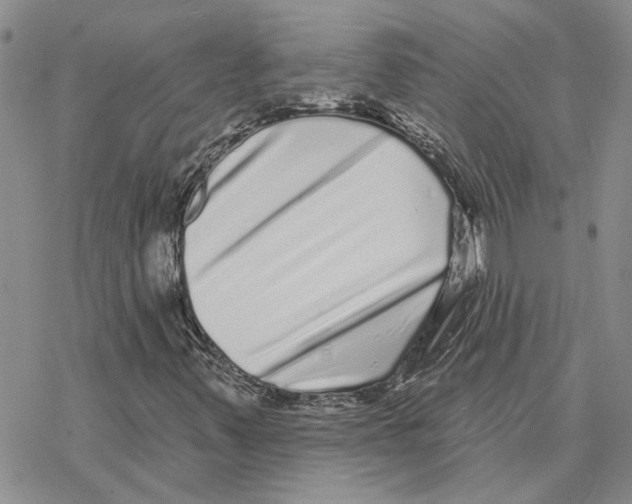 X0000077311347200611171707