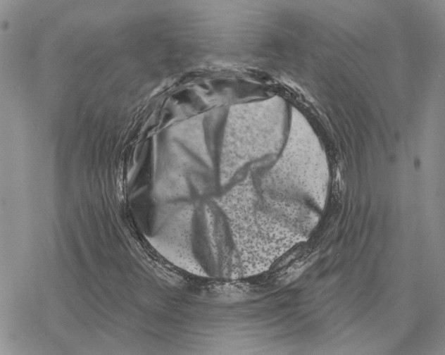 X0000077311348200611171707