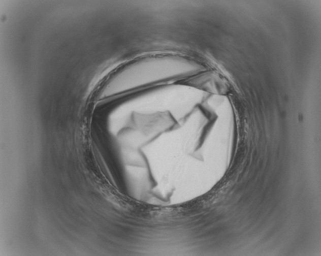 X0000077311352200611171707