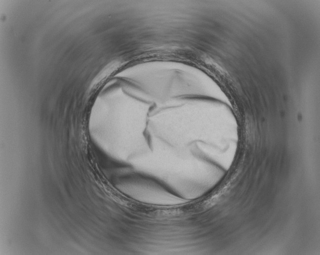 X0000077311354200611171707