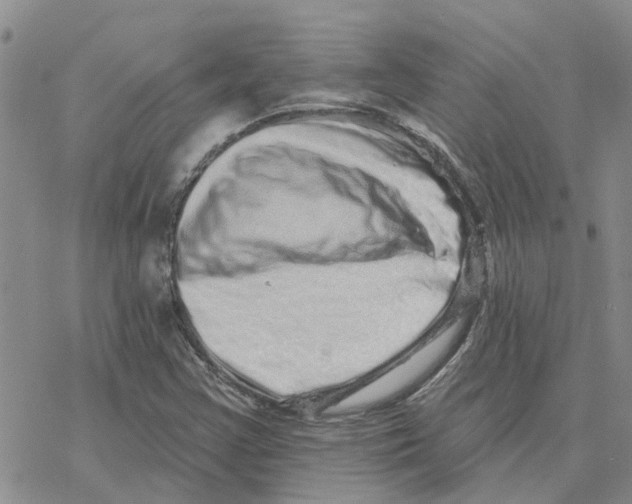 X0000077311355200611171707
