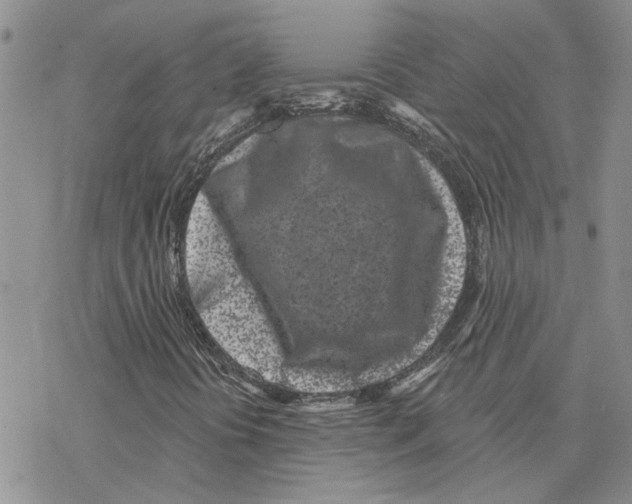 X0000077311394200611171705