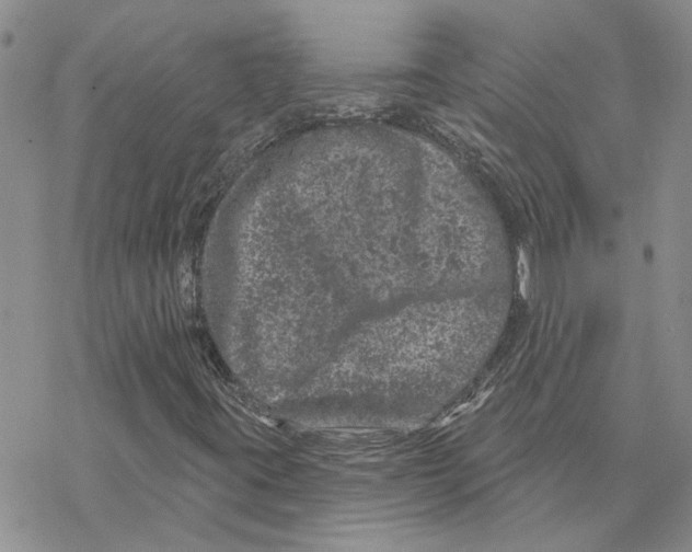 X0000077311395200611171705