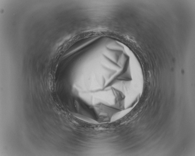 X0000077311398200611171705