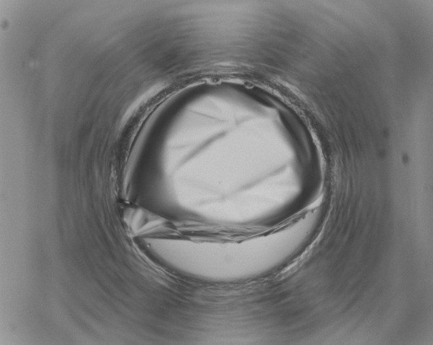 X0000077311402200611171706