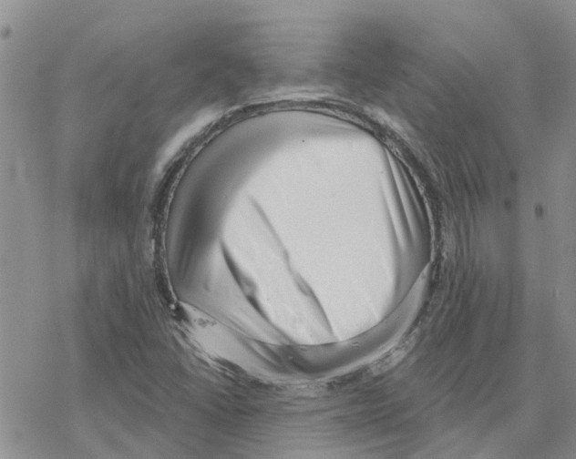 X0000077311406200611171706