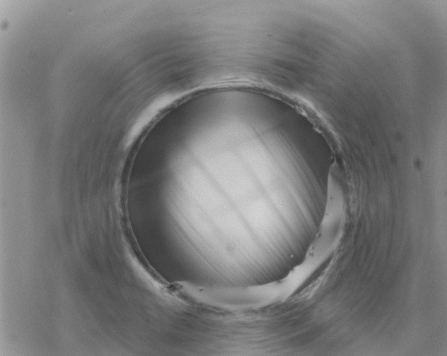 X0000077311422200611171706