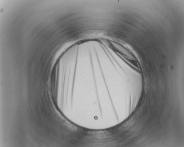 X0000077311432200611171706