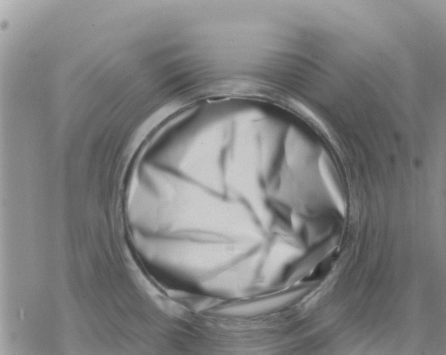 X0000077311434200611171706
