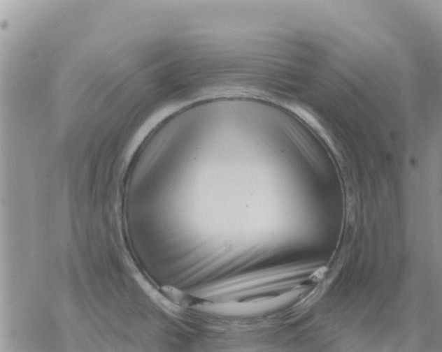 X0000077311438200611171706