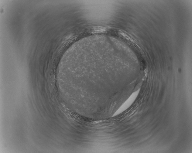 X0000077311441200611171705