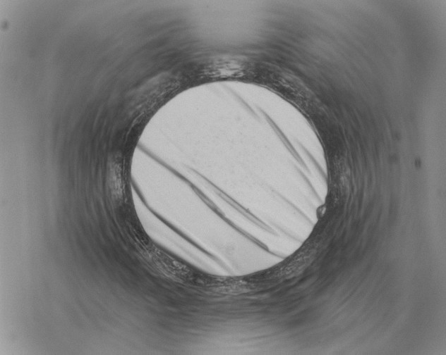 X0000077311442200611171705