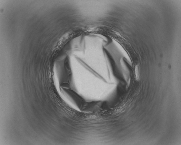 X0000077311443200611171705