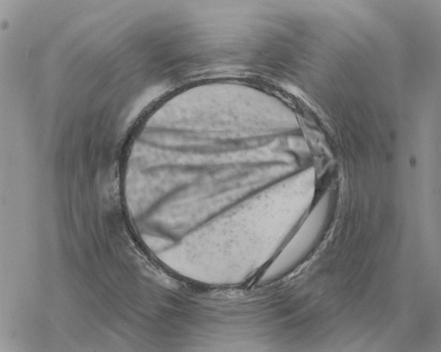 X0000077311450200611171705