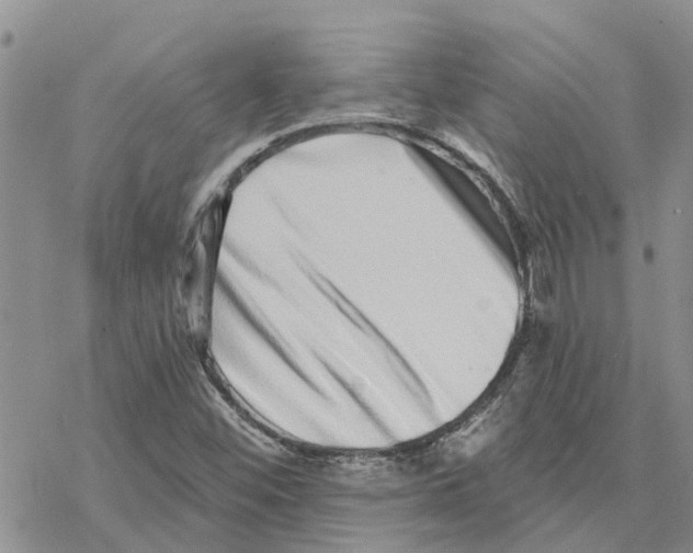 X0000077311452200611171705