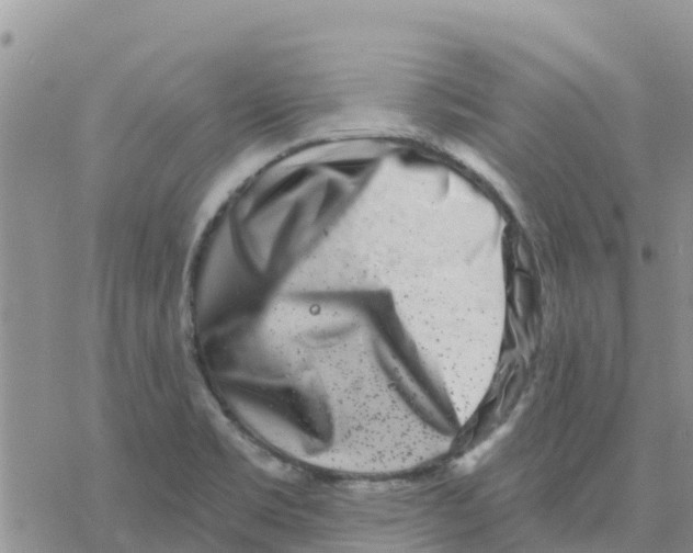 X0000077311469200611171705