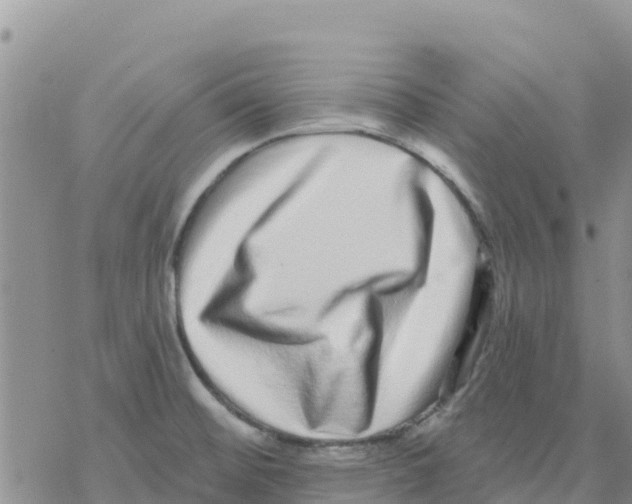 X0000077311476200611171705