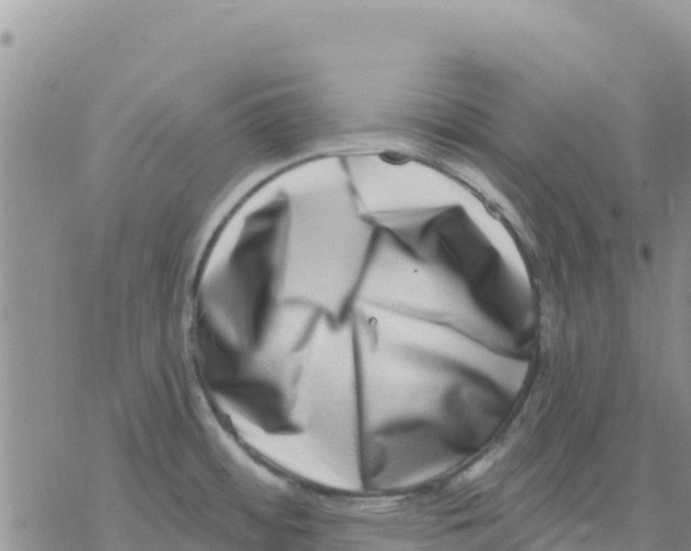 X0000077311484200611171705
