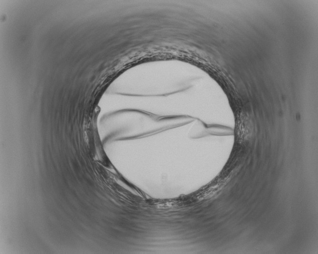 X0000077311490200611171704